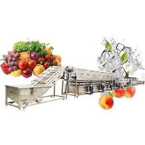 Vegetables and Fruit Processing Line