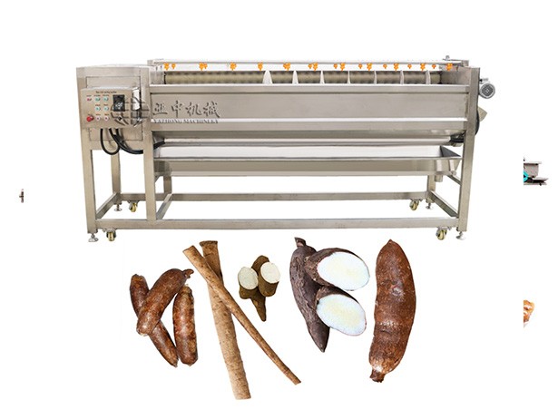 Screw vegetable and fruit cleaning and peeling machine
