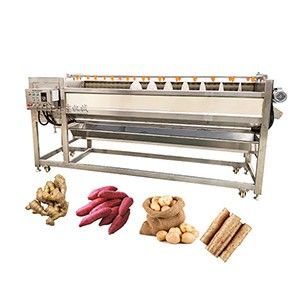 Screw vegetable and fruit cleaning and peeling machine