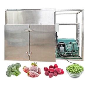 iqf freezer machine