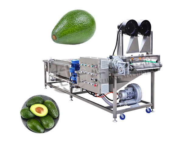 Industrial Avocado Cleaning Machine