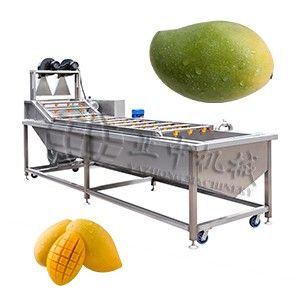 Mango Fruit Washing Machine