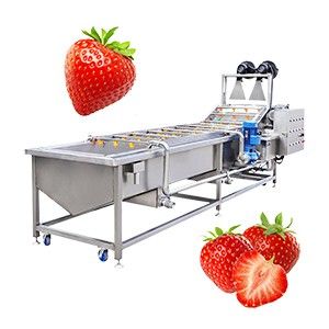 Strawberry Fruit Cleaning Machine