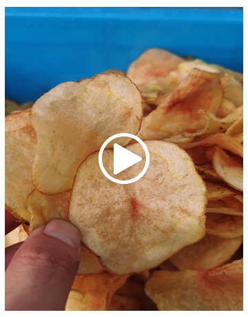 Potato Chips Vacuum Frying Machine In Indonesia
