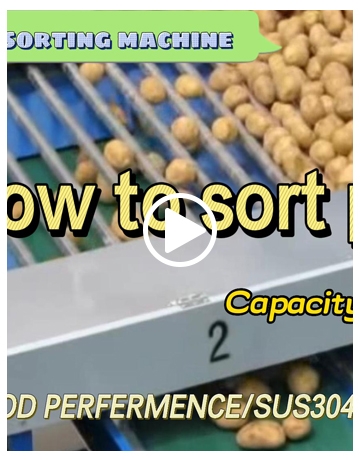 Potato Grading Machine Price