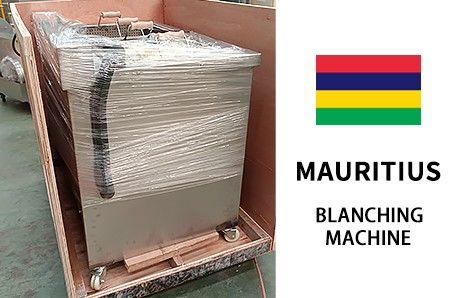 Industrial French Fries Blanching Machine To Mauitius