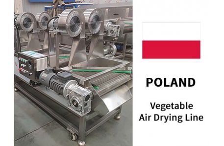 Vegetable Air Drying Line Delivery to Poland